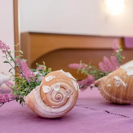 Lejlighed Scerbe 3103 *