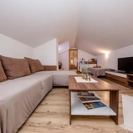 Scerbe 3103 Apartament Mundanije