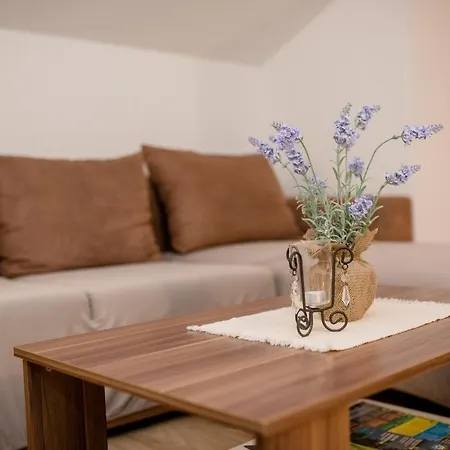 Scerbe 3103 Apartman